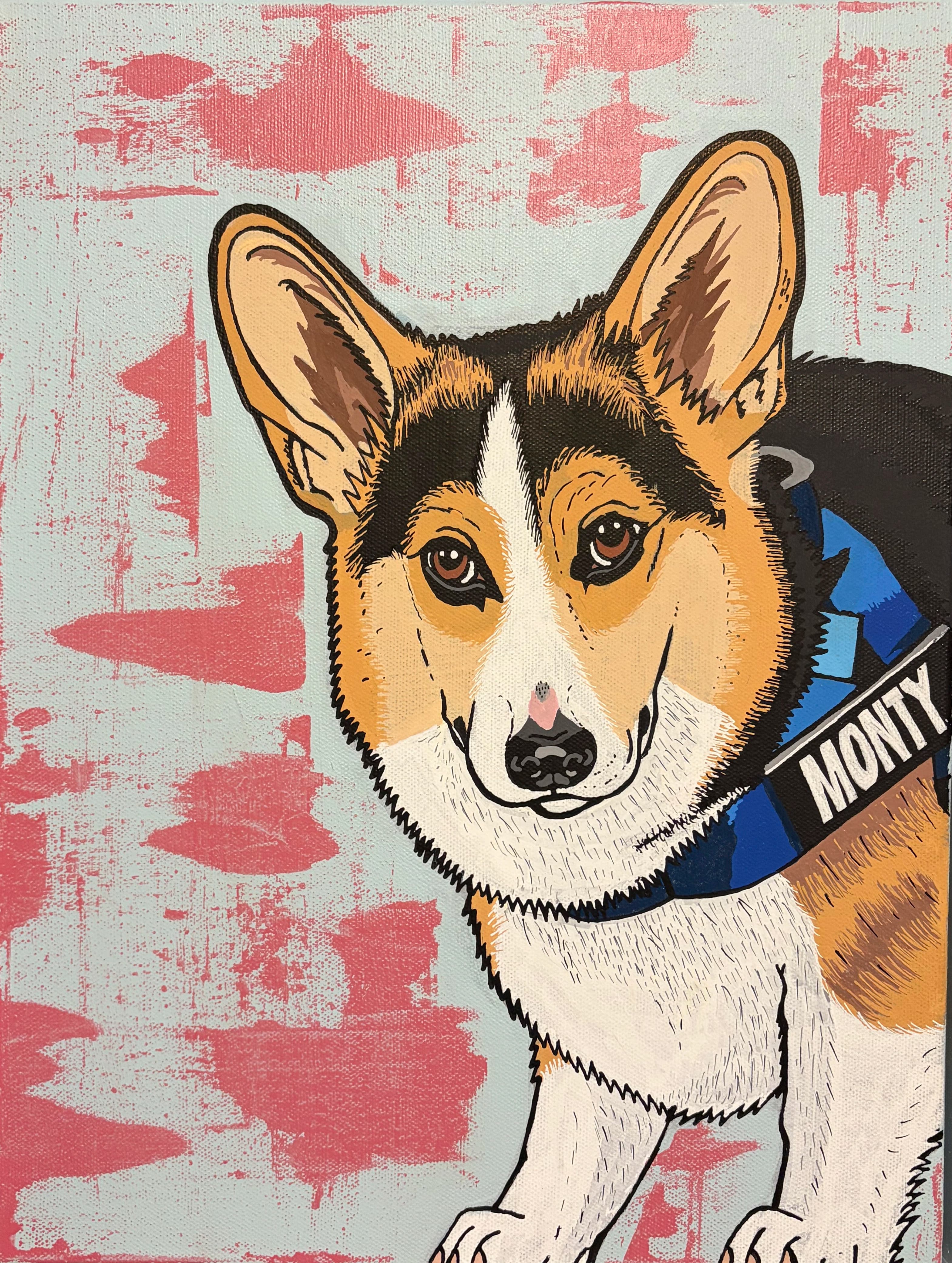 Pop-art portrait of Monty, a corgi in a blue harness on a scrubbed pink background